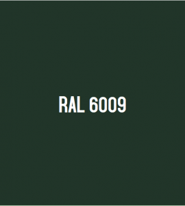 RAL 6009