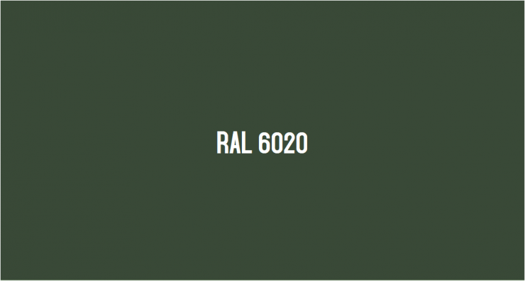 RAL 6020