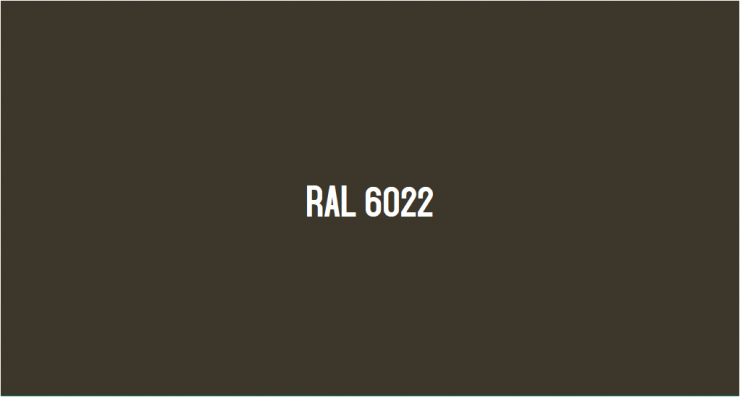 RAL 6022