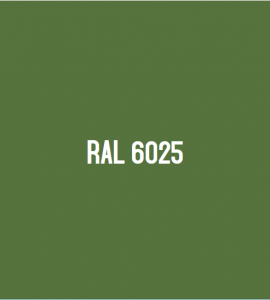RAL 6025