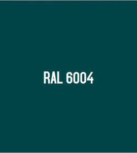 RAL 6004