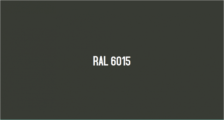 RAL 6015