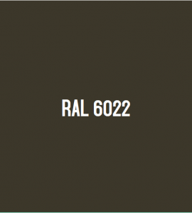 RAL 6022