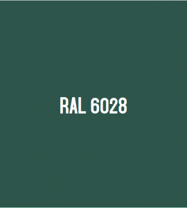 RAL 6028